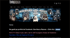 Desktop Screenshot of american-bully.ro